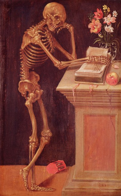 Vanitas, 1543 da Hans Holbein der Jüngere