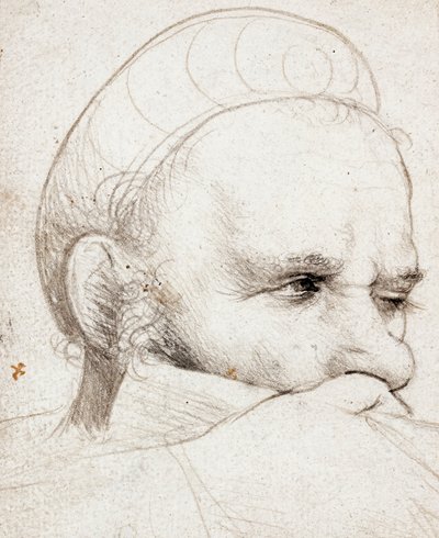 La testa di un balestriere che prende la mira da Hans Holbein the Elder
