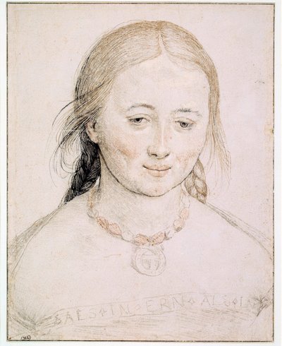 Testa di giovane donna da Hans Holbein the Elder