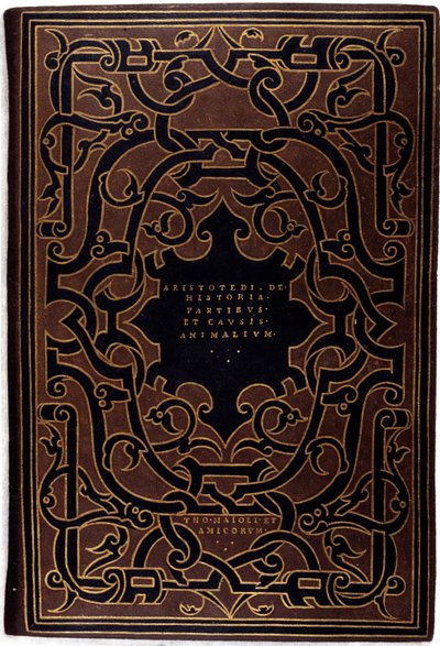 Rilegatura della collezione 