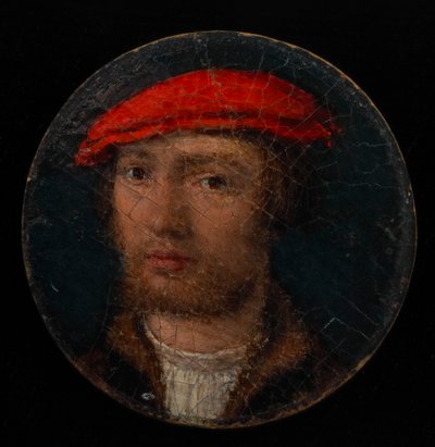 Ritratto di un giovane uomo da Hans Holbein der Jüngere