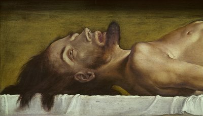 Il corpo di Cristo morto (dettaglio) da Hans Holbein der Jüngere