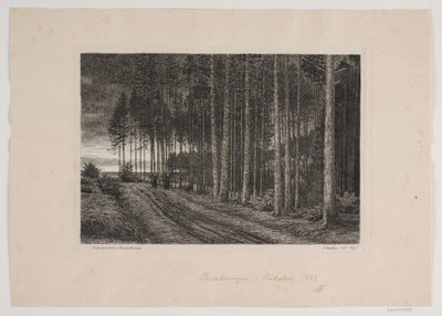 Giorno di pioggia nella foresta di abeti da Hans Julius Fæster