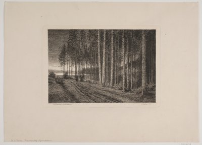Giorno di pioggia nella foresta di abeti da Hans Julius Fæster