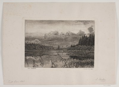 Lago nella foresta di abeti da Hans Julius Fæster