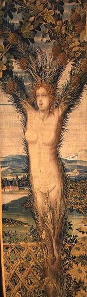 Uno di un paio di arazzi raffiguranti Daphne e Pitys, metà del XVI secolo da Hans Karcher