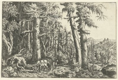 Paesaggio con il buon samaritano da Hans Lautensack