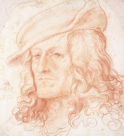 Ritratto di un uomo, busto, con cappello da Hans Leonard Schaufelein