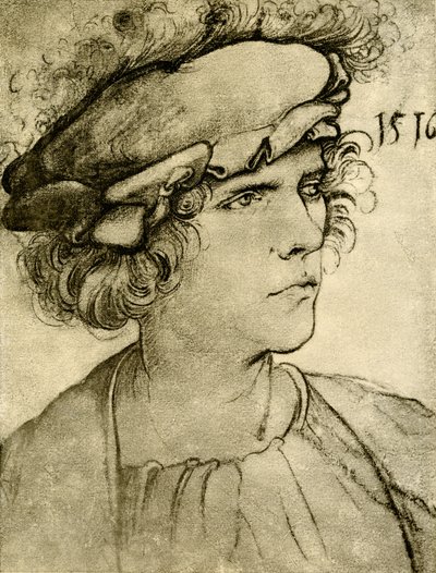 Ritratto di uno sconosciuto da Hans Leonard Schaufelein