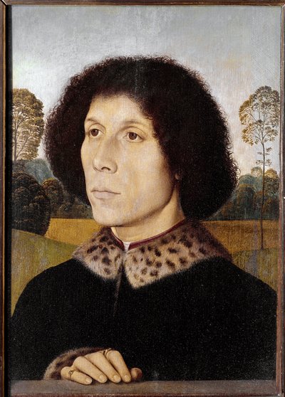 Ritratto di un uomo sconosciuto in un paesaggio da Hans Memling