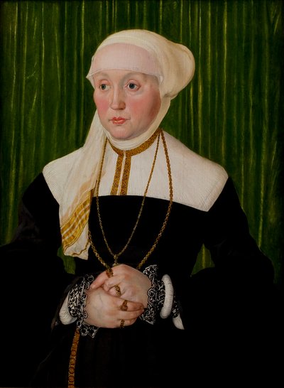 Ritratto di una signora da Hans Mielich