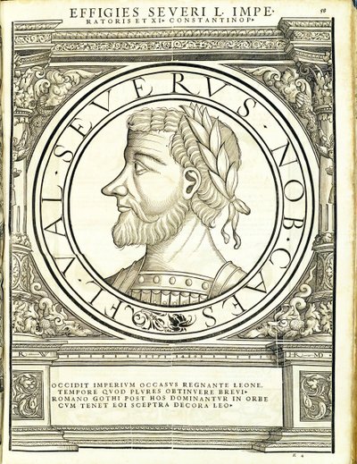 Seuerus D, illustrazione da 