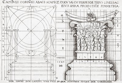 Sezione trasversale di un capitello corinzio e disegno proporzionale da Hans Sebald Beham