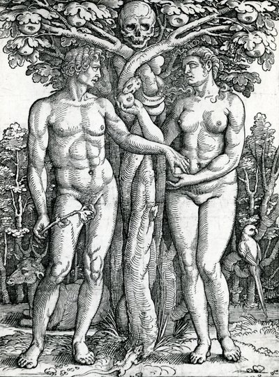 La caduta di Adamo ed Eva, c.1525-27 da Hans Sebald Beham