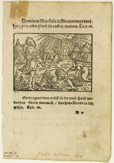 La pioggia di manna da Biblische Historien Künstlich fürgemalt, tavola cinque da Xilografie da libri del XVI secolo da Hans Sebald Beham