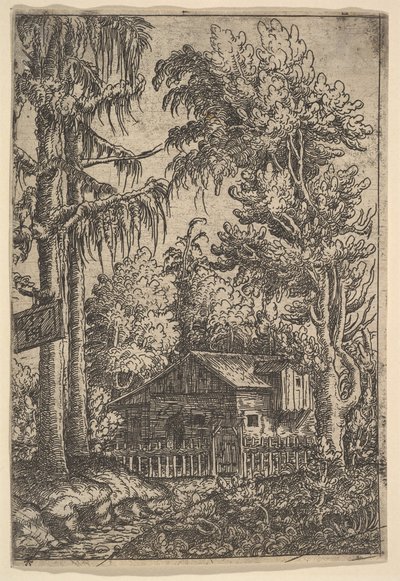 Capanna tra gli Alberi, 1551 da Hans Sebald Lautensack