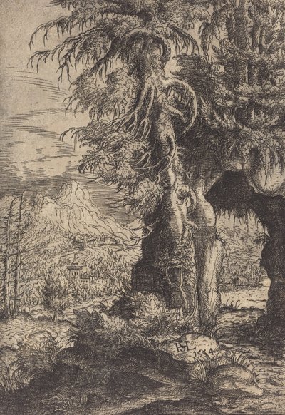 Il cancello nelle rocce, 1554 da Hans Sebald Lautensack