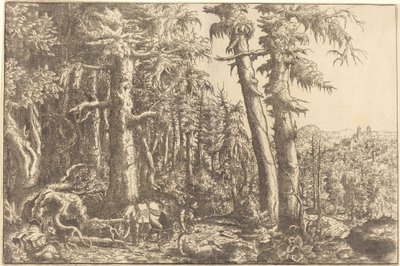 Il buon samaritano, ca. 1558 da Hans Sebald Lautensack