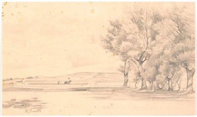 Paesaggio con campo arato; a destra alberi alti da Hans Smidth