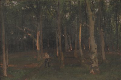 Bosco al Tramonto da Hans Smidth