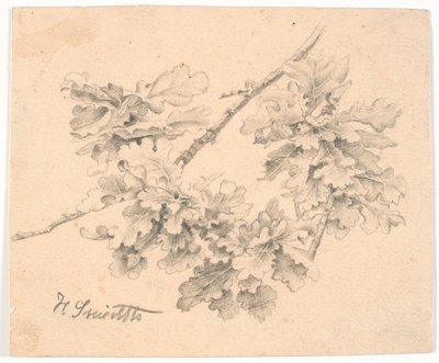 Studio di rami di quercia da Hans Smidth