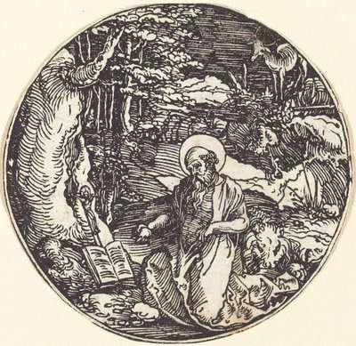San Girolamo in penitenza da Hans Springinklee