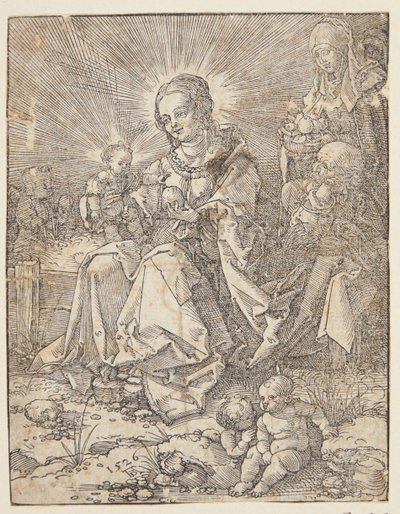 La Madonna su un prato da Hans Springinklee