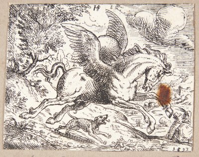 Pegaso da Hans Strohmayer