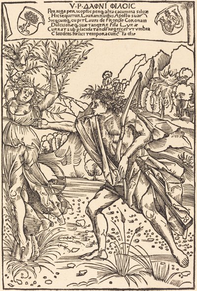 Apollo e Dafne da Hans Süss von Kulmbach