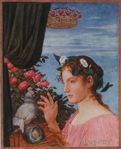 Venere, illustrazione da 