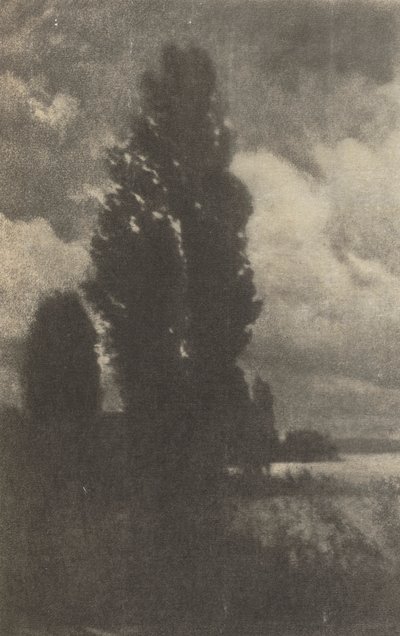 Camera Work: Pioppi e Nuvole, 1906 da Hans Watzek