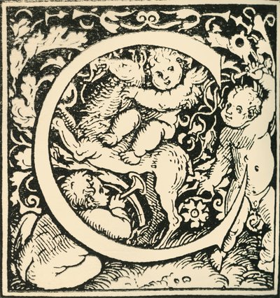 C - Un alfabeto di Hans Weiditz, c1520-1521, 1908 da Hans Weiditz