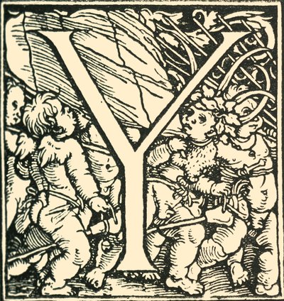Y - Un alfabeto di Hans Weiditz, c1520-1521, 1908 da Hans Weiditz