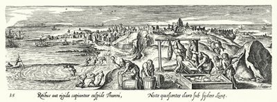 Cattura, pulizia, cottura e conservazione del tonno da Hans after Bol