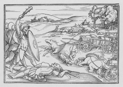 Davide Sconfigge Hadadezer e i Siri, 2 Samuele VIII, 3 da Hans after Holbein the Younger