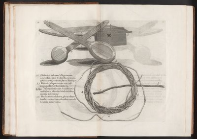 Illustrazione dal Voyage to the Island Madera, Barbados...Vol.2 da Hans after Sloane