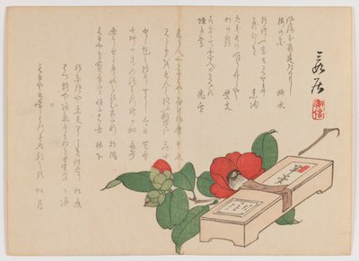 Camelia con scatola di dolci (Yokan), c.1860 da Hanzan Matsukawa
