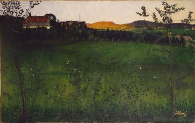 Campo maturo da Harald Oscar Sohlberg