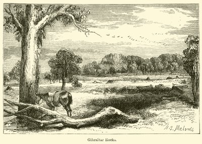 Rocce di Gibilterra da Harden Sidney (after) Melville