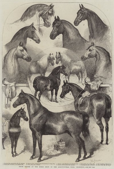Cavalli premiati alla Mostra del Cavallo nella Agricultural Hall, Islington da Harden Sidney Melville