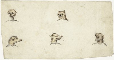 Teste di quattro animali e uno scheletro da Harmen ter Borch