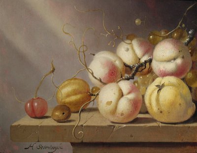 Natura morta di frutta su una mensola da Harmen van Steenwyck