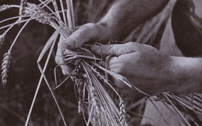 Fare fasce di paglia da Harold Burdekin