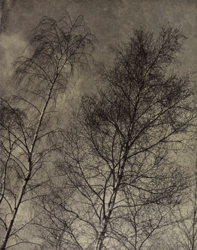... il loro fascino è scritto lungo un cielo liquido, Robert Bridges da Harold Burdekin