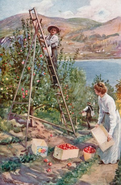 Un ranch di frutta a Nelson, Columbia Britannica da Harold Copping
