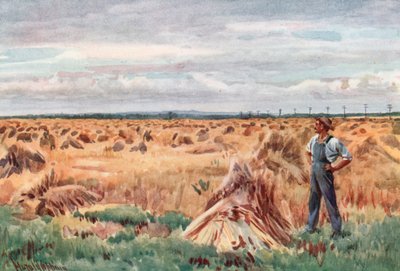 Lungo i Campi di Grano del Manitoba da Harold Copping