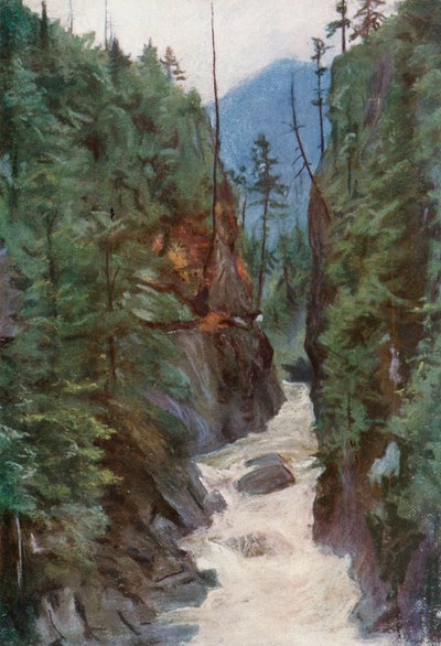 Capilano Canyon, vicino a North Vancouver da Harold Copping