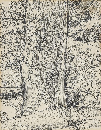 Albero, 1916 da Harold Gilman