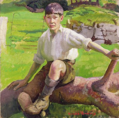 Un ragazzo della Cornovaglia da Harold Harvey