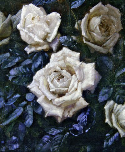 Rose bianche da Harold Oakley